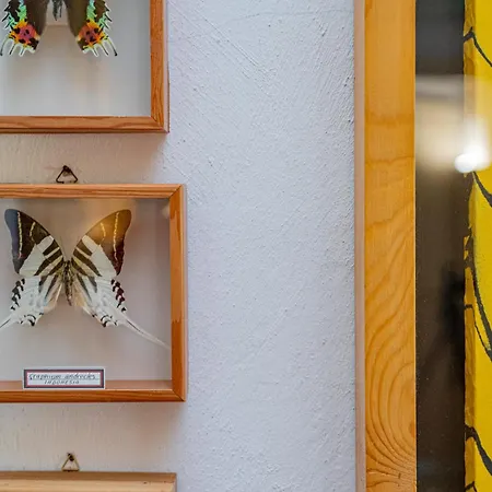 Terrazze Del Porto ポルト・チェルボ